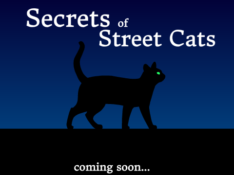something new is coming...