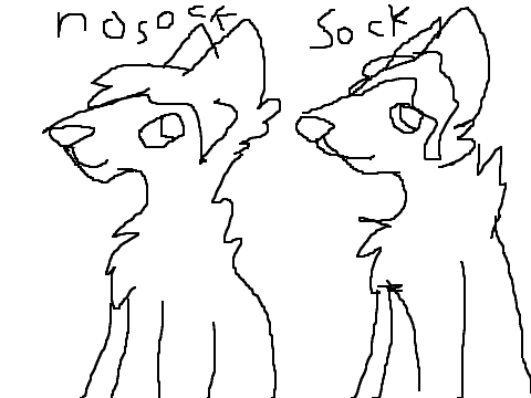 The Sock Challenge! ):D