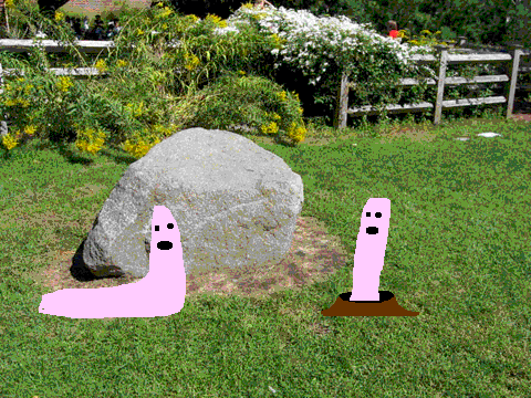 Two Worms