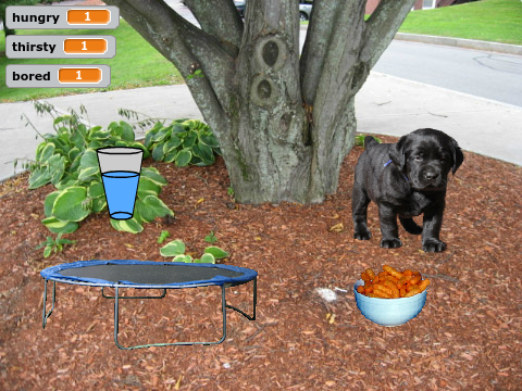 virtual pet