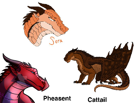 The Dragonet Prophecy Voice Audition Glory, Sunny, and Peril