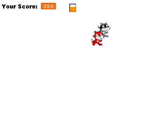 Ninja Cat