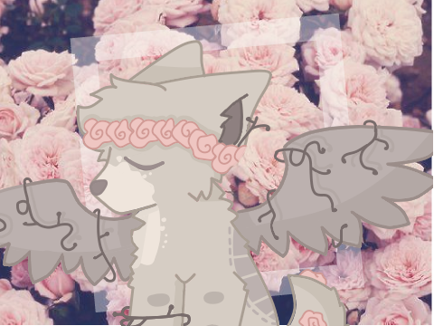 1700+ Seasons DTAE
