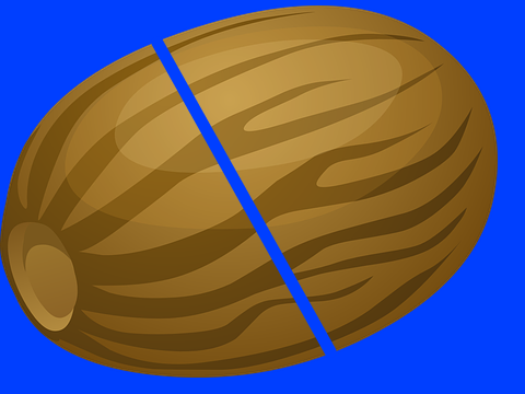 nutshells in a nutshell
