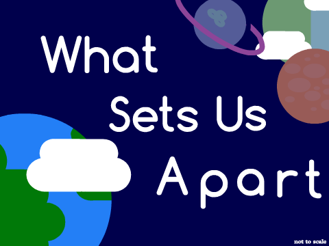 What Sets Us Apart