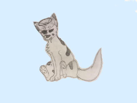 ⋄ Kuamo ⋄