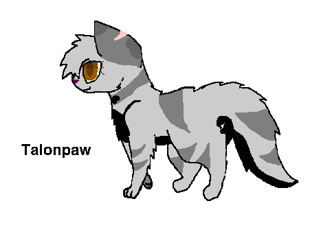 Talonpaw and Barronpaw