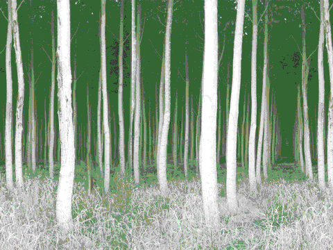 Background Scrolling Test