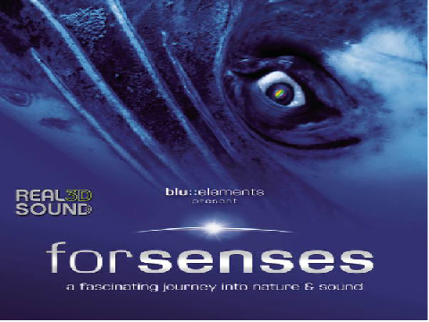 forsenses (Full Soundtrack)
