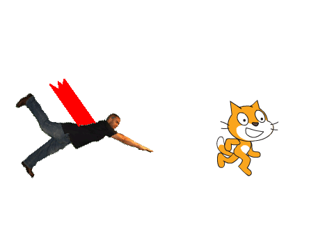 RUN CAT RUN