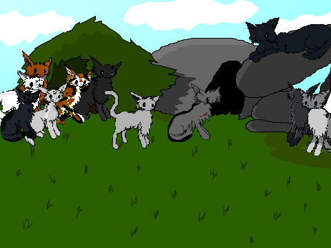 The Warrior Cats Game remix