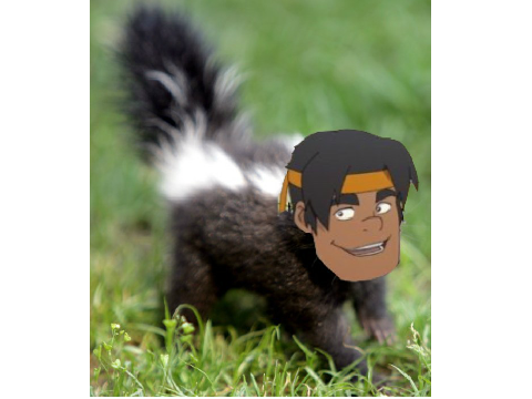Hunk The Skunk