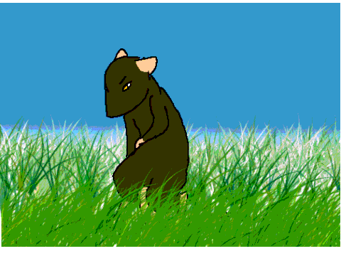 Animation practice