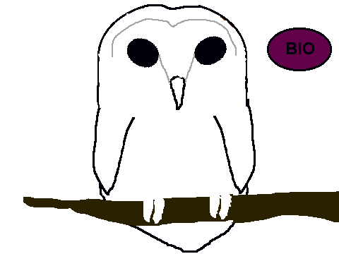 Guardians of Ga'Hoole: Owl Templates and Blank Bio