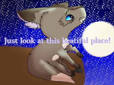 { Stars in your eyes }