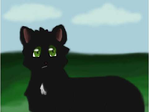 Ravenpaw art