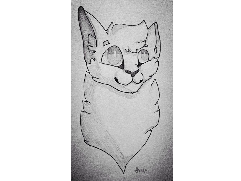 Swoot Lined Sketch