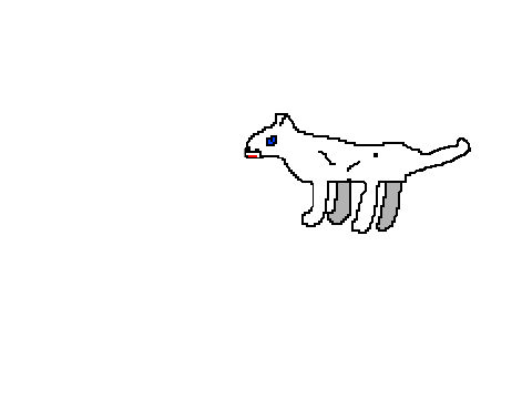 waggy dog