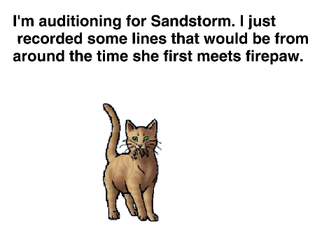 warriors movie auditions-Sandstorm