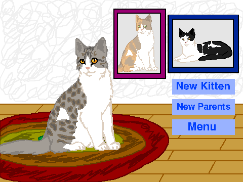 Cat Genetics