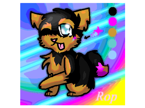 The New Rop!