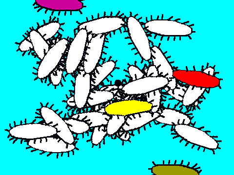 The Paramecium Game