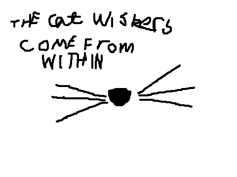 the cat wiskers come from within