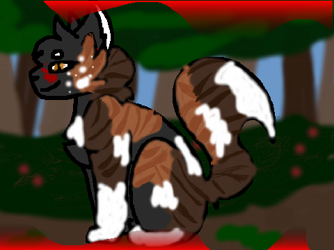 Warrior cat CCE