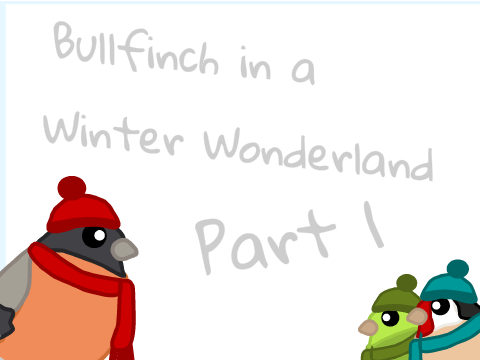2. Bullfinch in a Winter Wonderland (Part 1)