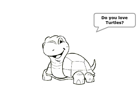 Turtle Appreciation Group