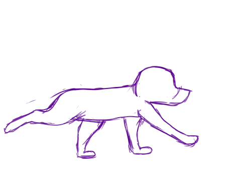 Doggy Runcycle