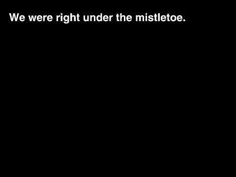 Mistletoe 