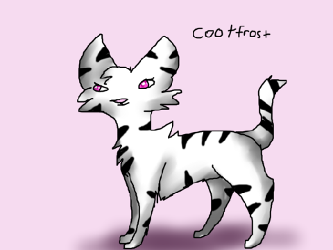 New warrior OC Cootfrost 