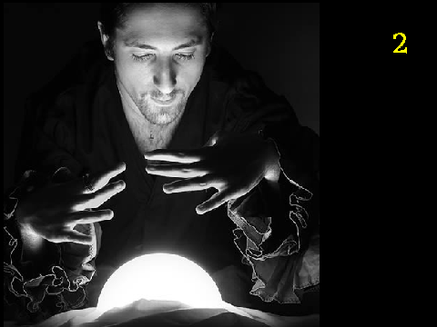The Great Fortune Teller