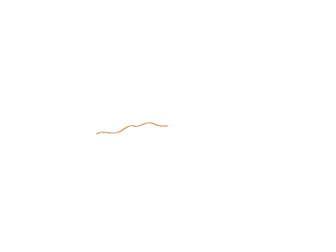 Network