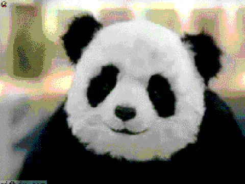 Evil Panda while I play Unfitting Music o3o Oh yuss