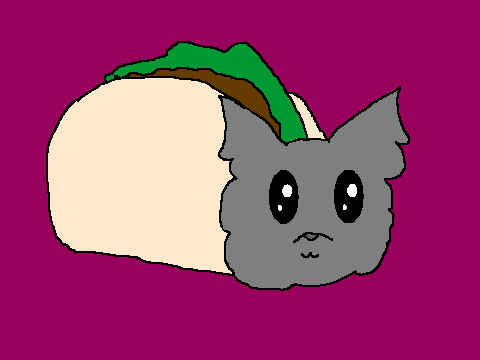 TACO CAT!!!!!!!! (Epilipsy warning)