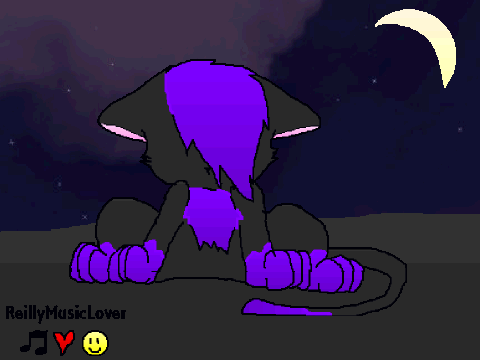 Sad Kitty Contest