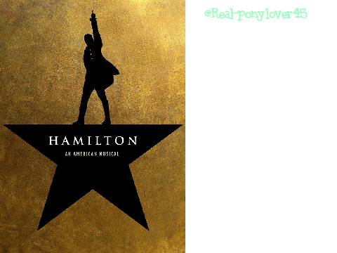 Sign if you like Hamilton!!! remix