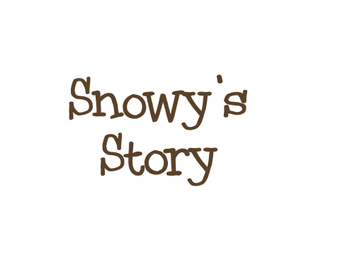 ❅Snowy's Story❅