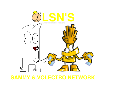 LSN Logos
