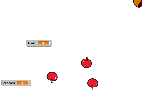 Catch the Fruit