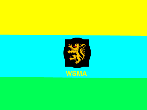WSMA fleg contest, yay