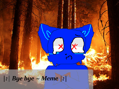 |:| Bye Bye ~ Meme |:| (Thanks for 50+!)