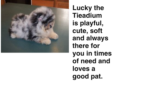 Lucky the Tieadium (Reserved)