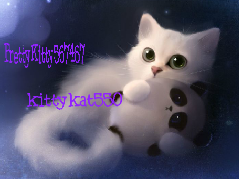 Sign if you're a CAT LOVER!! remix