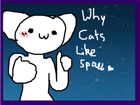 because cATS!!