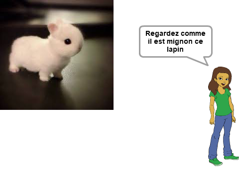 LAPIN (TRES COURT)