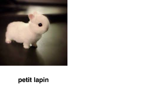 DIAPORAMA MIGNON