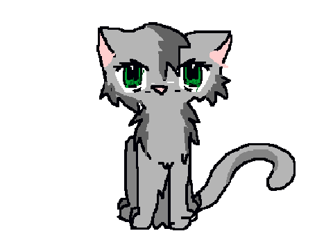 Cute Cat